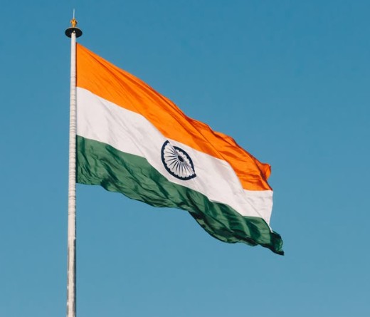 Indian Flag Dp