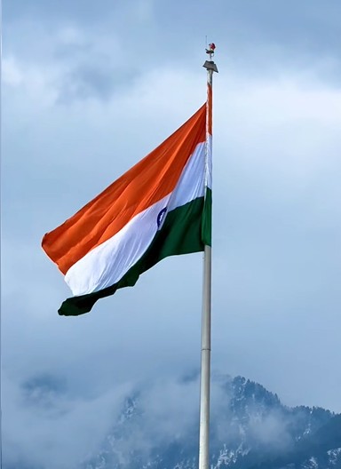 Indian Flag Dp