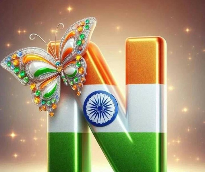 Indian Flag Dp