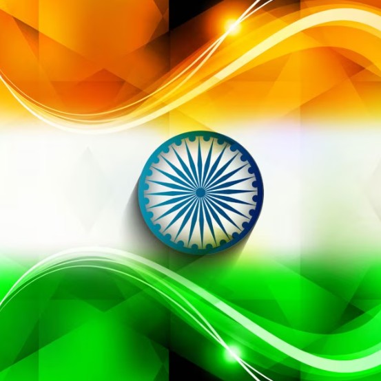 Indian Flag Dp