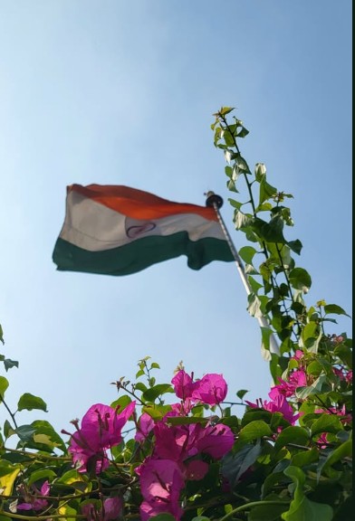 Indian Flag Dp