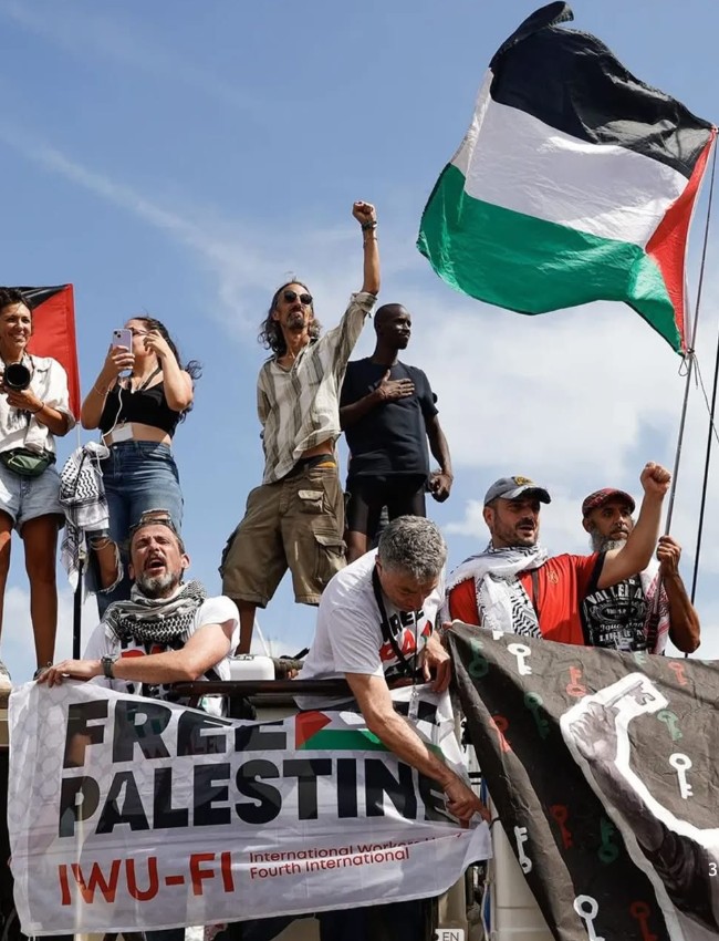 Palestine Flag Dp