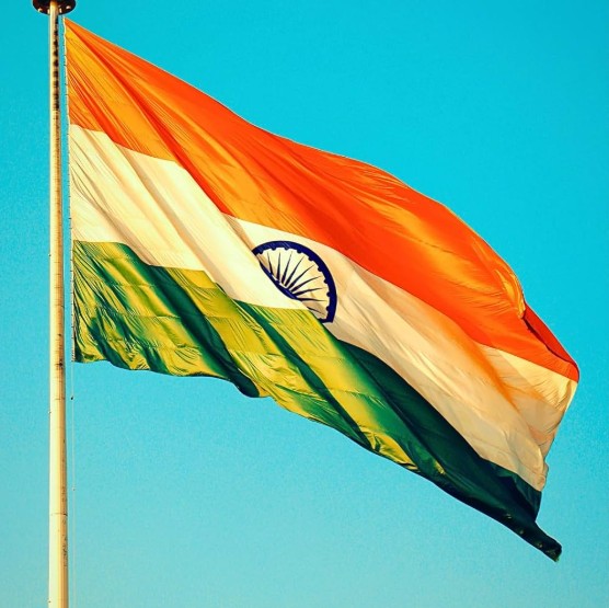 Indian Flag Dp