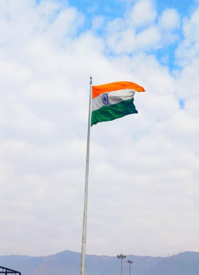 Indian Flag Dp