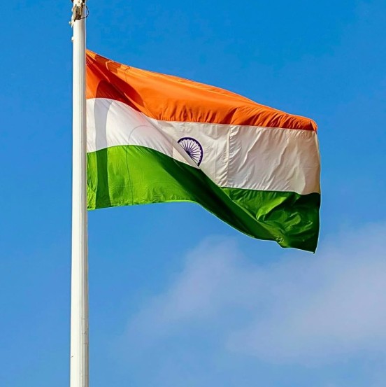 Indian Flag Dp