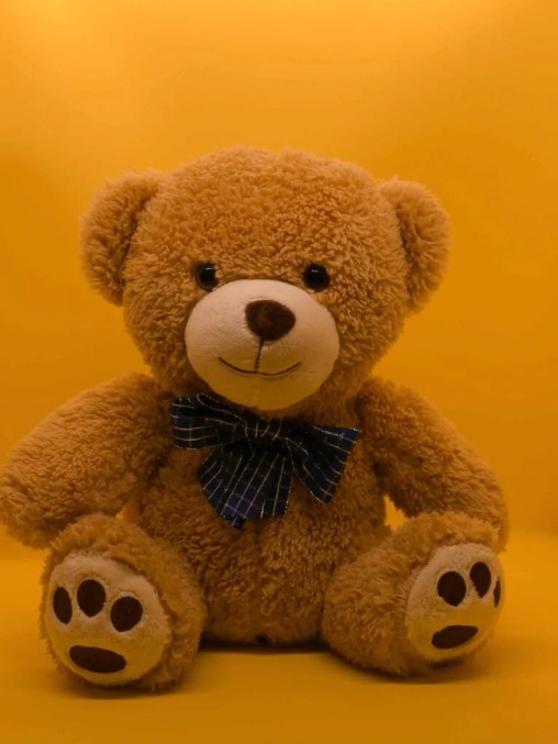 Teddy Bear DP