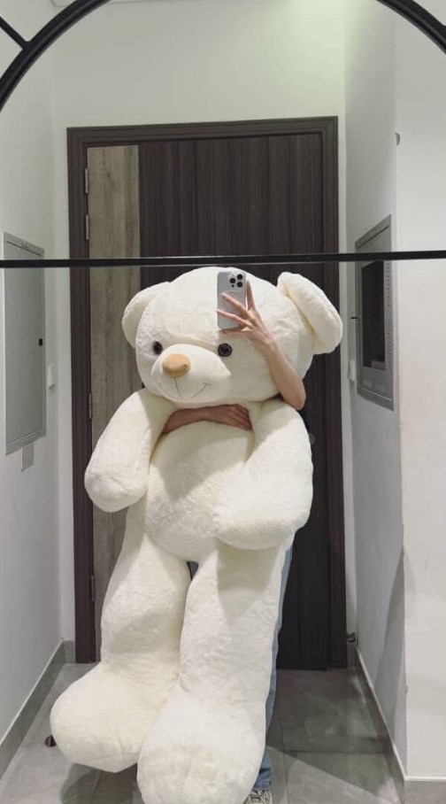 Teddy Bear DP