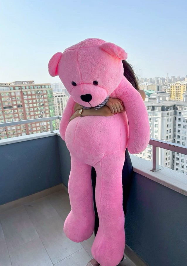 Teddy Bear DP