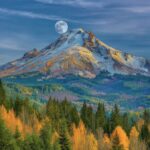 [+] Nature Images- DP- Photos- Pictures & Wallpapers ()