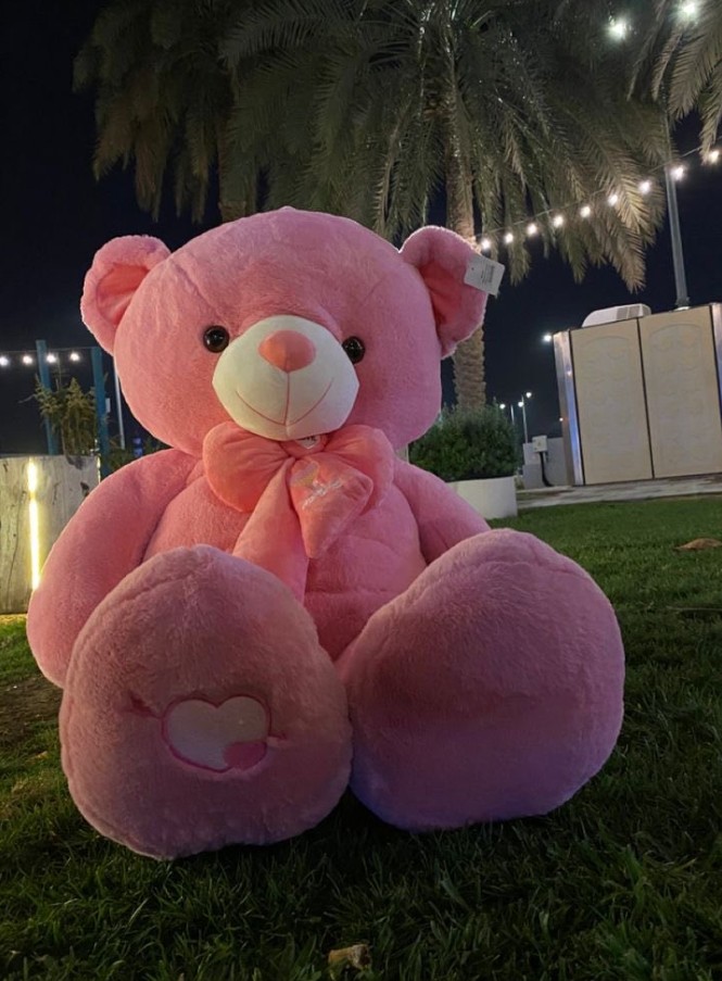 Teddy Bear DP