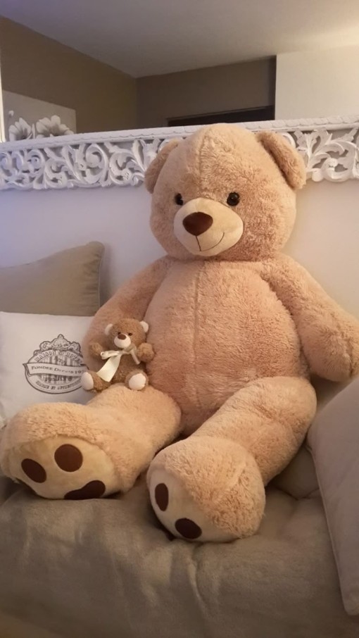 Teddy Bear DP
