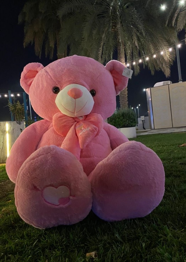 Teddy Bear DP