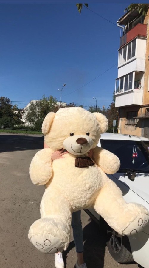 Teddy Bear DP