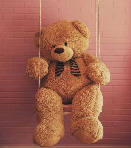 Teddy Bear DP
