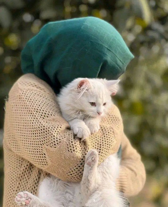 Islamic Girls DP